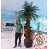 درخت نخل مصنوعی برای استخر